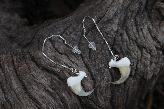 Bobcat Claw Earrings - .925 Silver