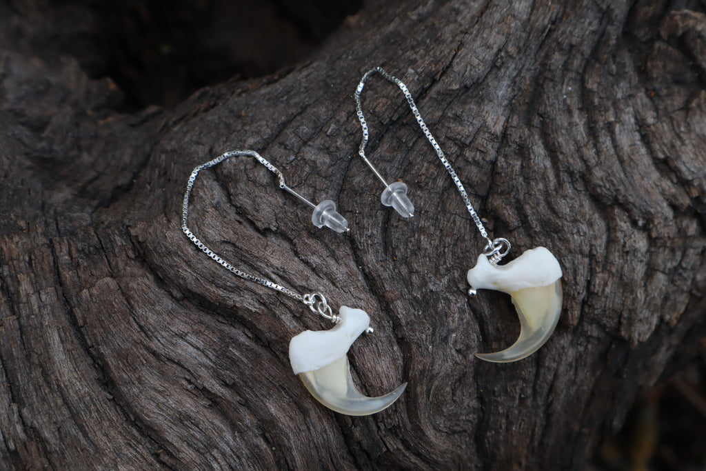 Bobcat Claw Earrings - .925 Silver