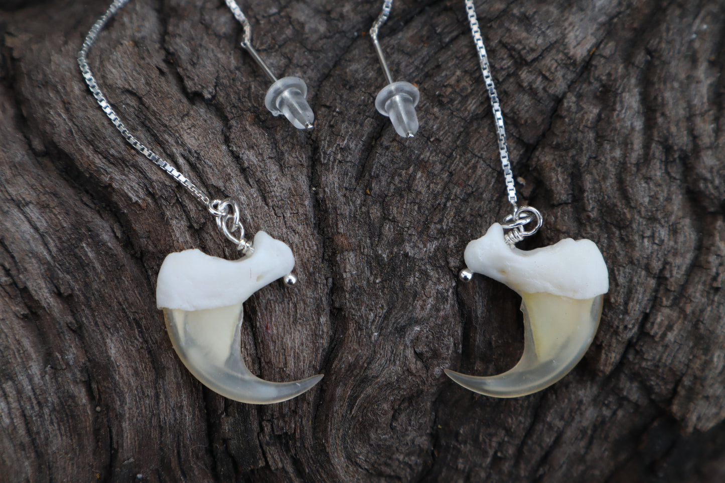 Bobcat Claw Earrings - .925 Silver