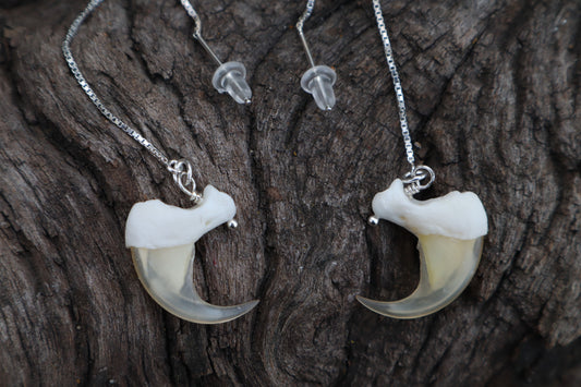 Bobcat Claw Earrings - .925 Silver