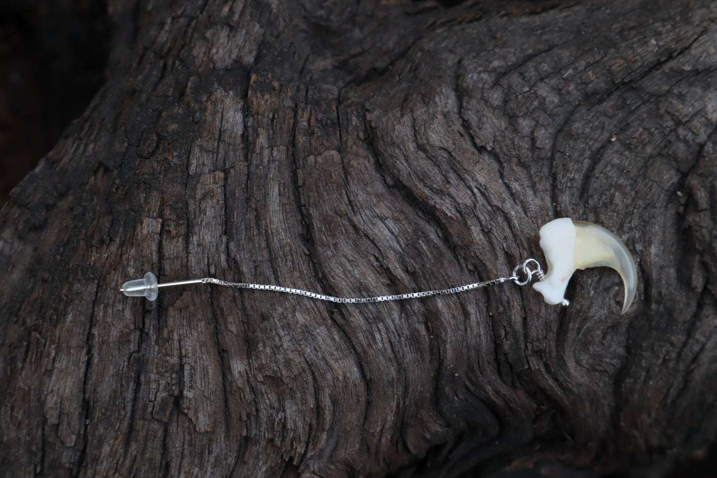 Bobcat Claw Earrings - .925 Silver