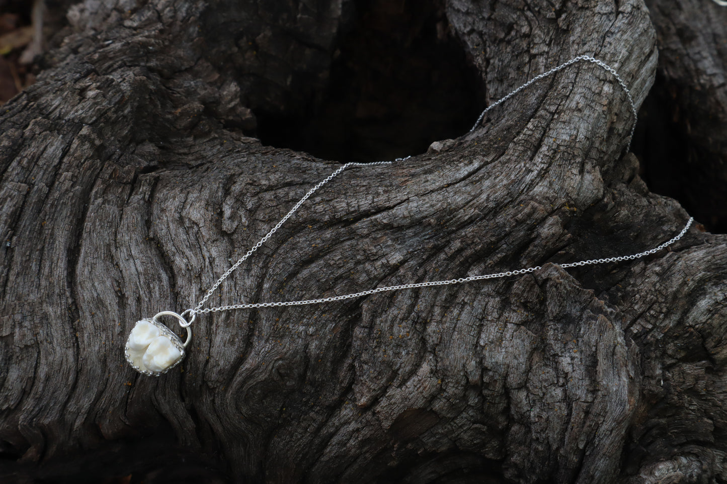 Raccoon Molar Necklace - .925 Sterling Silver
