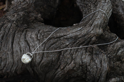 Raccoon Molar Necklace - .925 Sterling Silver