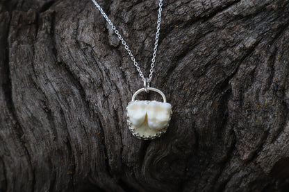 Raccoon Molar Necklace - .925 Sterling Silver