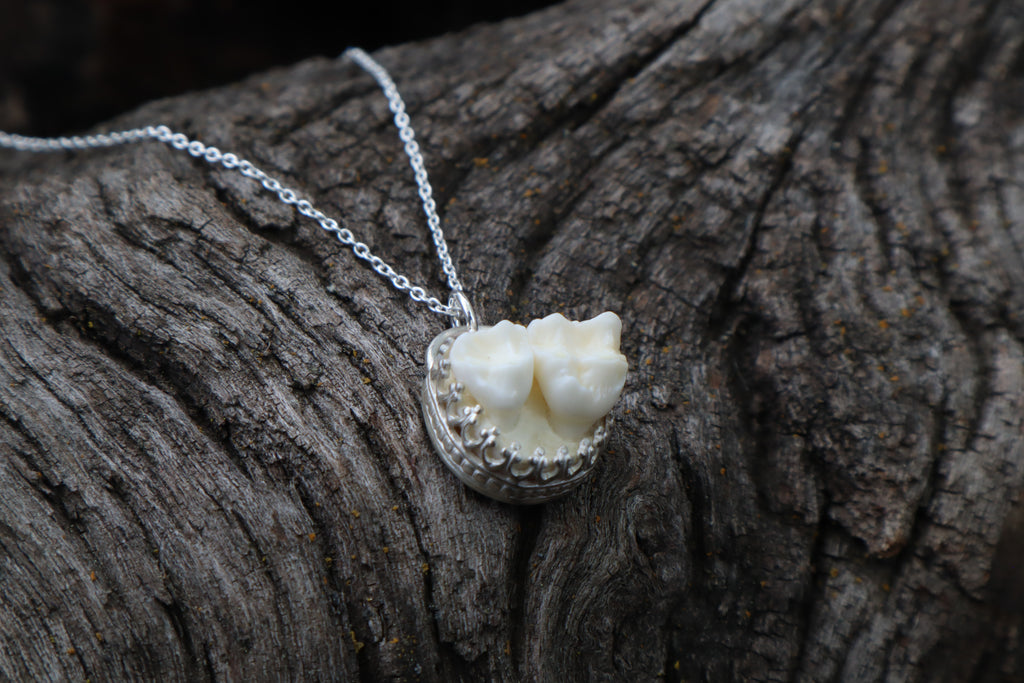 Raccoon Molar Necklace - .925 Sterling Silver