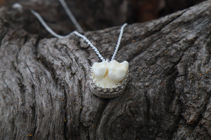 Raccoon Molar Necklace - .925 Sterling Silver