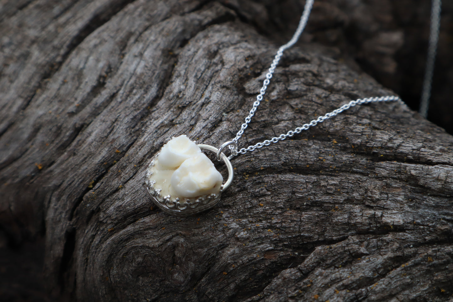 Raccoon Molar Necklace - .925 Sterling Silver