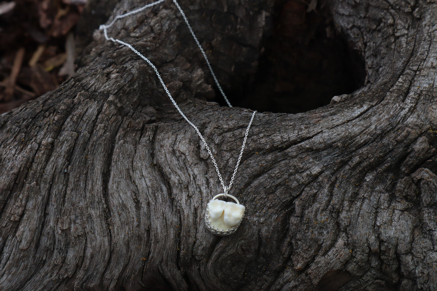 Raccoon Molar Necklace - .925 Sterling Silver
