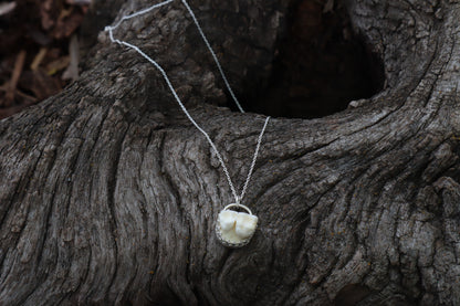 Raccoon Molar Necklace - .925 Sterling Silver