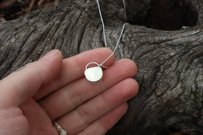 Raccoon Molar Necklace - .925 Sterling Silver