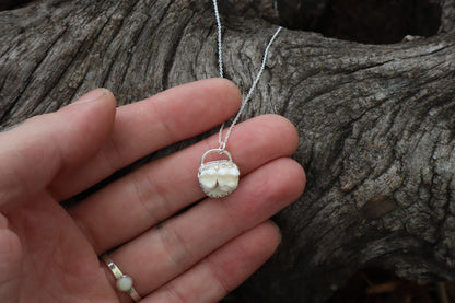 Raccoon Molar Necklace - .925 Sterling Silver
