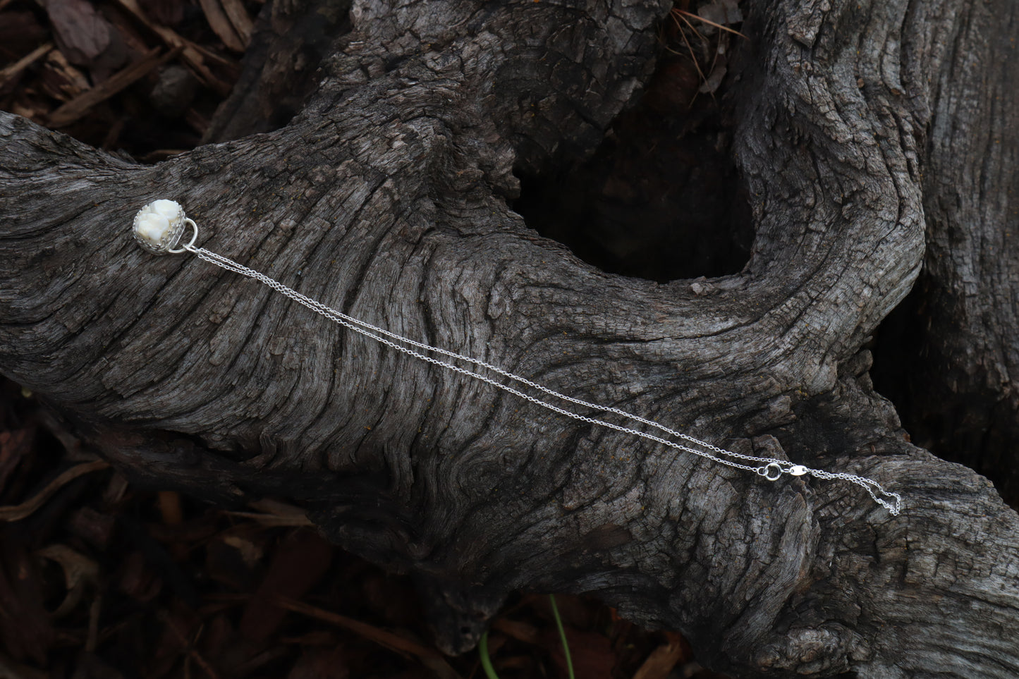 Raccoon Molar Necklace - .925 Sterling Silver