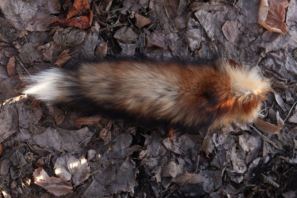Red Fox Tail