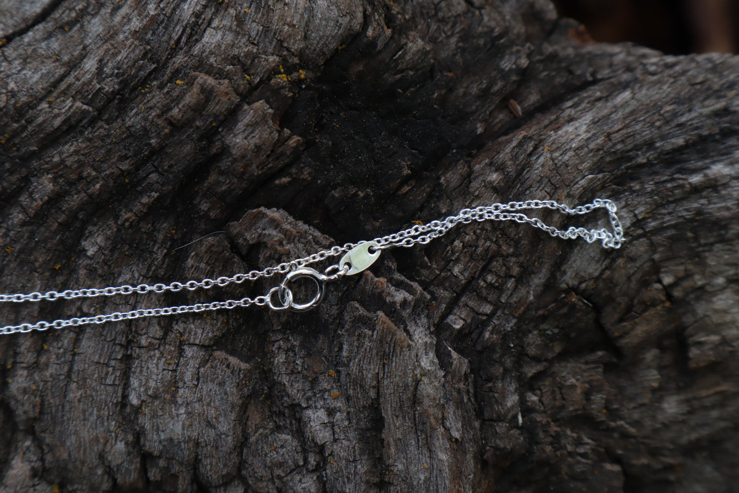 Raccoon Molar Necklace - .925 Sterling Silver