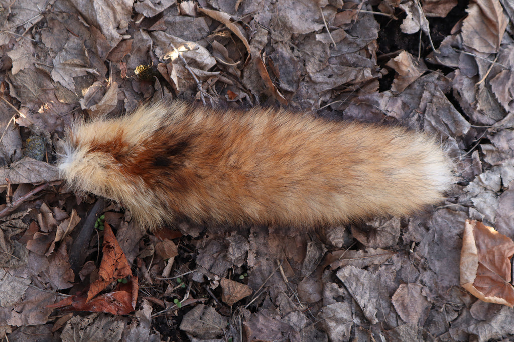 Red Fox Tail