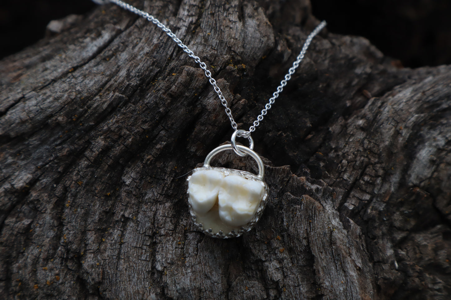 Raccoon Molar Necklace - .925 Sterling Silver