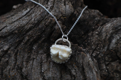 Raccoon Molar Necklace - .925 Sterling Silver