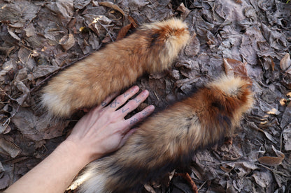 Red Fox Tail