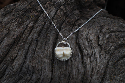Raccoon Molar Necklace - .925 Sterling Silver