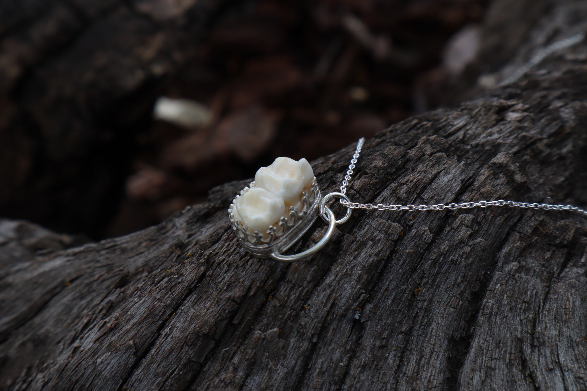 Raccoon Molar Necklace - .925 Sterling Silver