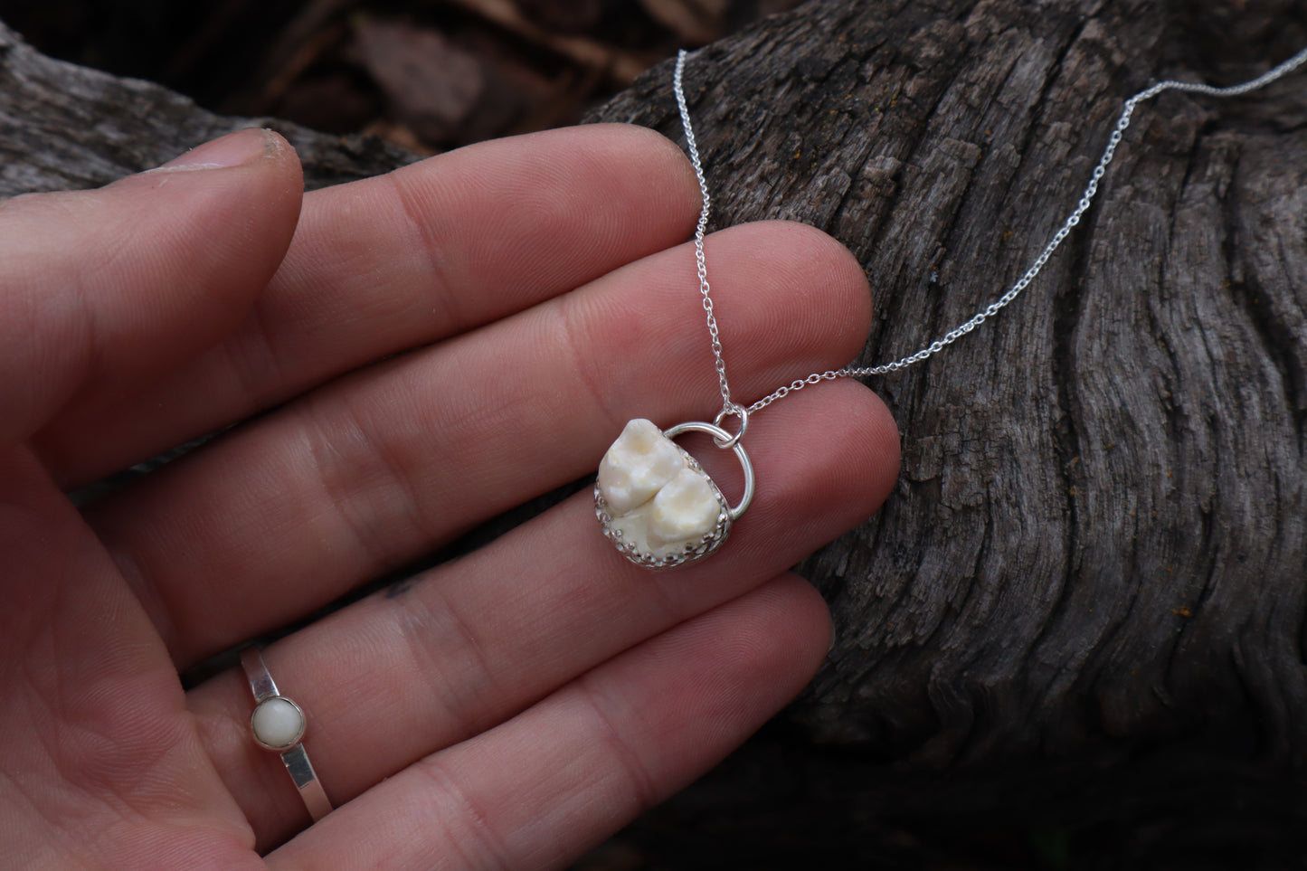 Raccoon Molar Necklace - .925 Sterling Silver