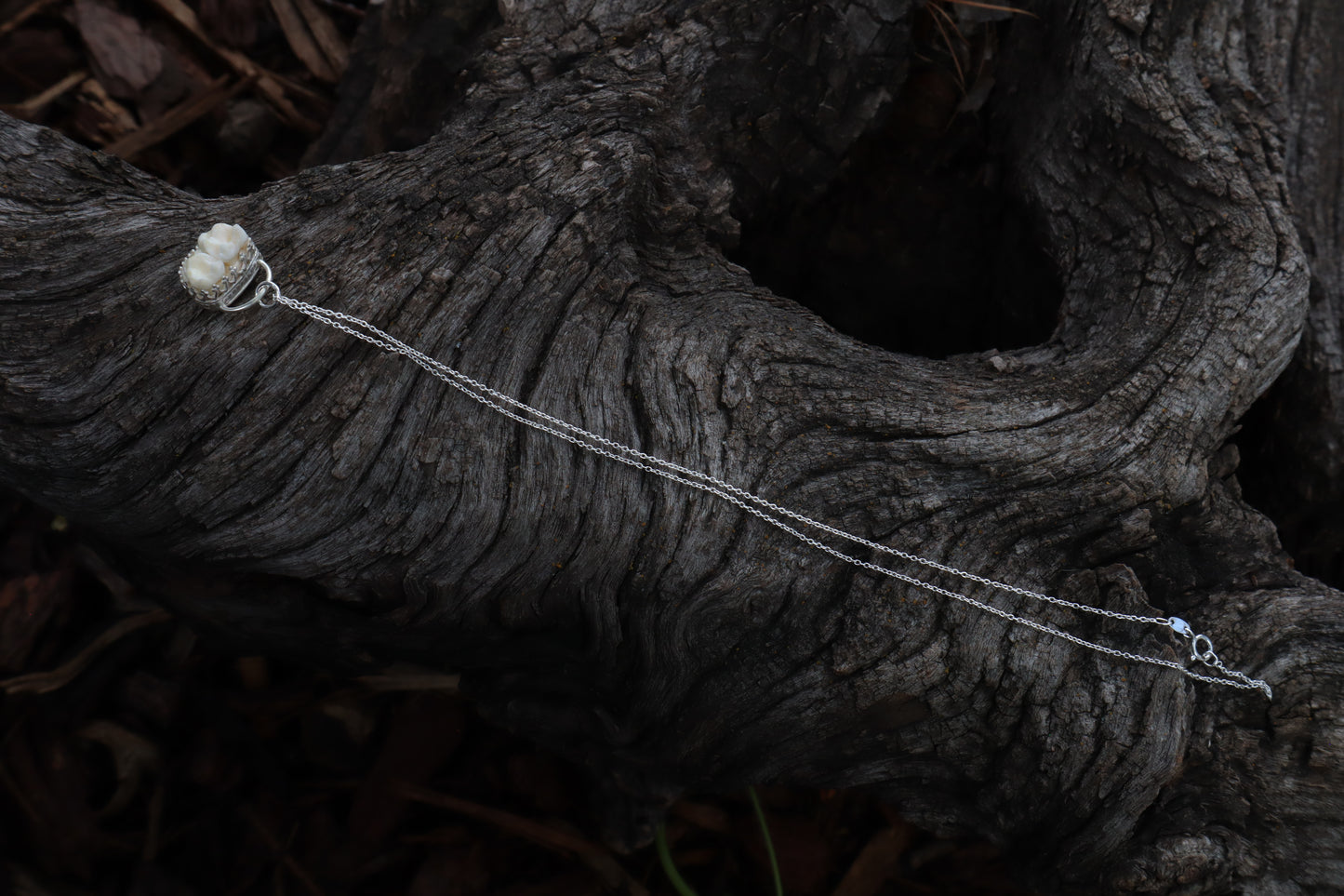 Raccoon Molar Necklace - .925 Sterling Silver