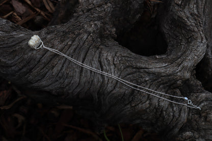 Raccoon Molar Necklace - .925 Sterling Silver