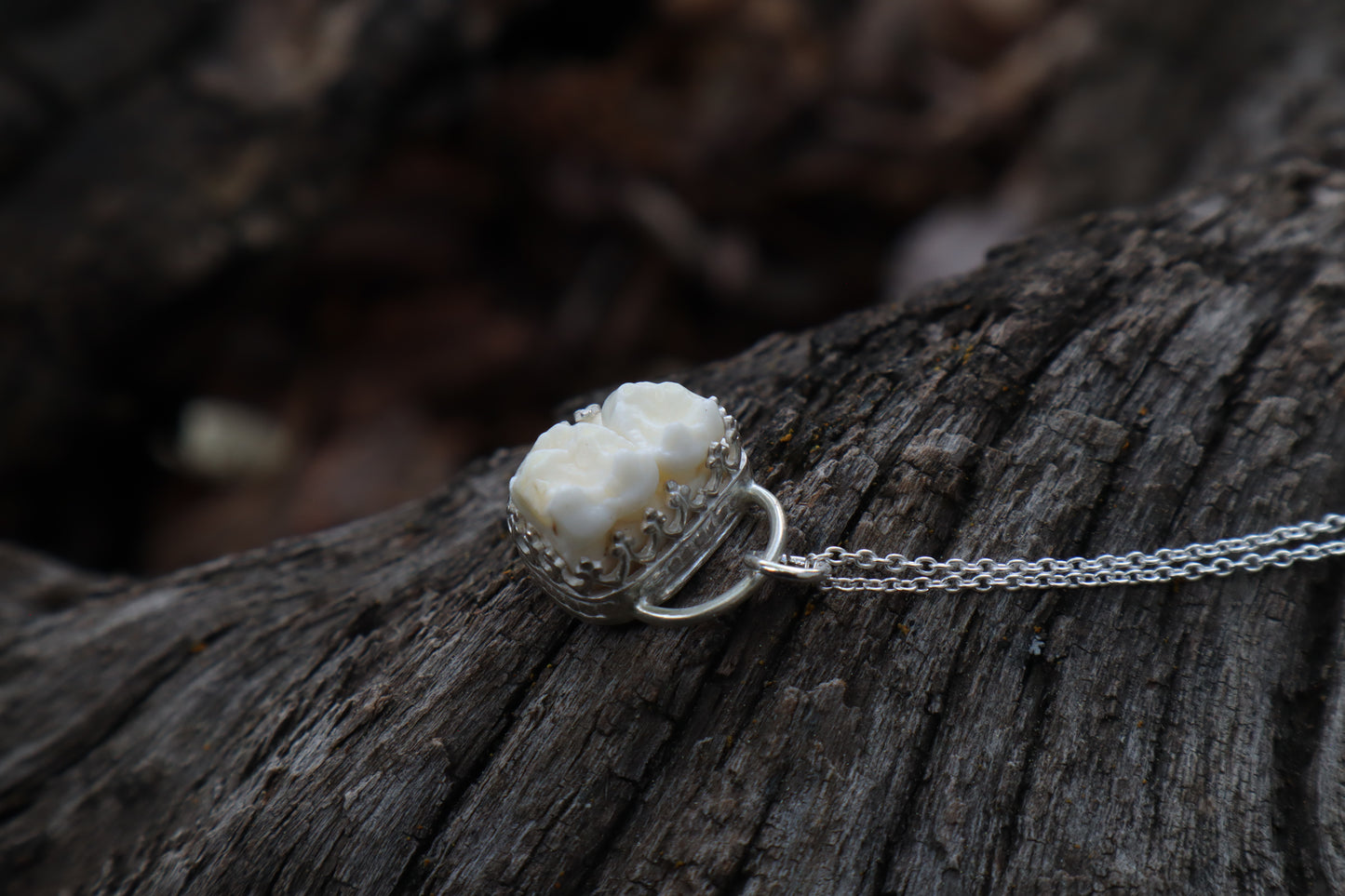 Raccoon Molar Necklace - .925 Sterling Silver