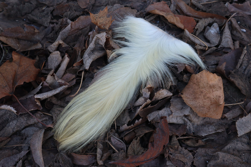 Boer Goat Tail