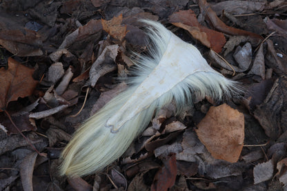 Boer Goat Tail