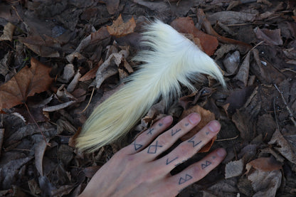 Boer Goat Tail