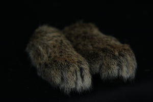 Bobcat Paws