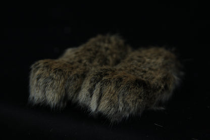 Bobcat Paws