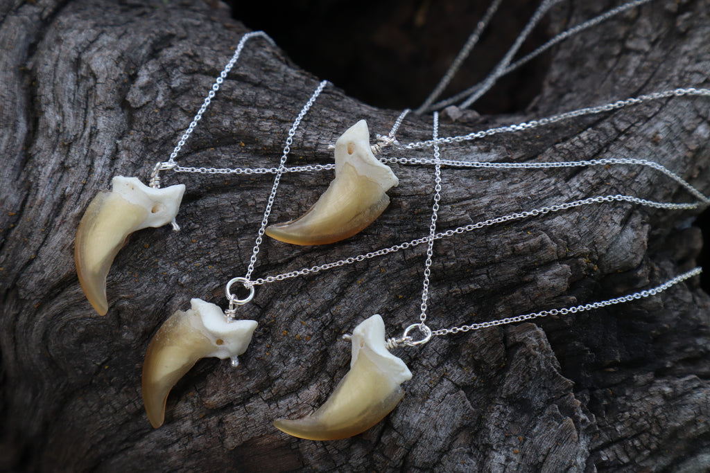 Gray Wolf Claw Necklace
