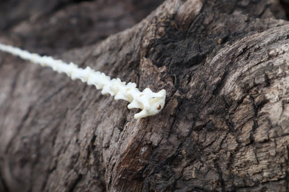 Kitten Tail Articulation