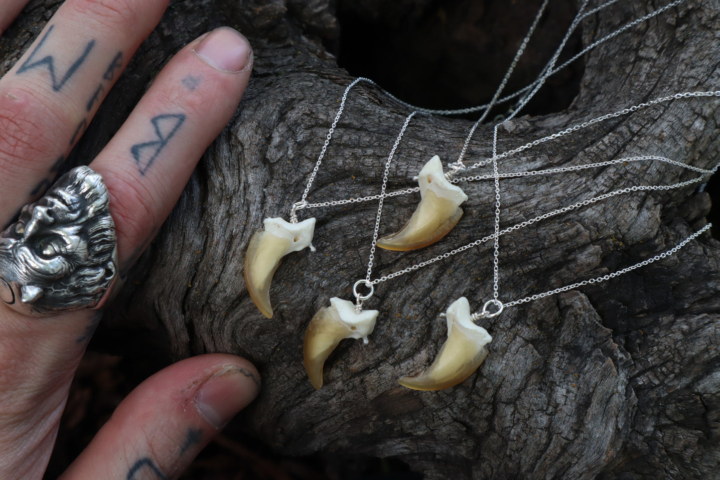 Gray Wolf Claw Necklace