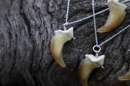 Gray Wolf Claw Necklace