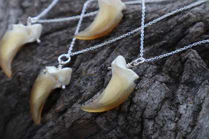 Gray Wolf Claw Necklace