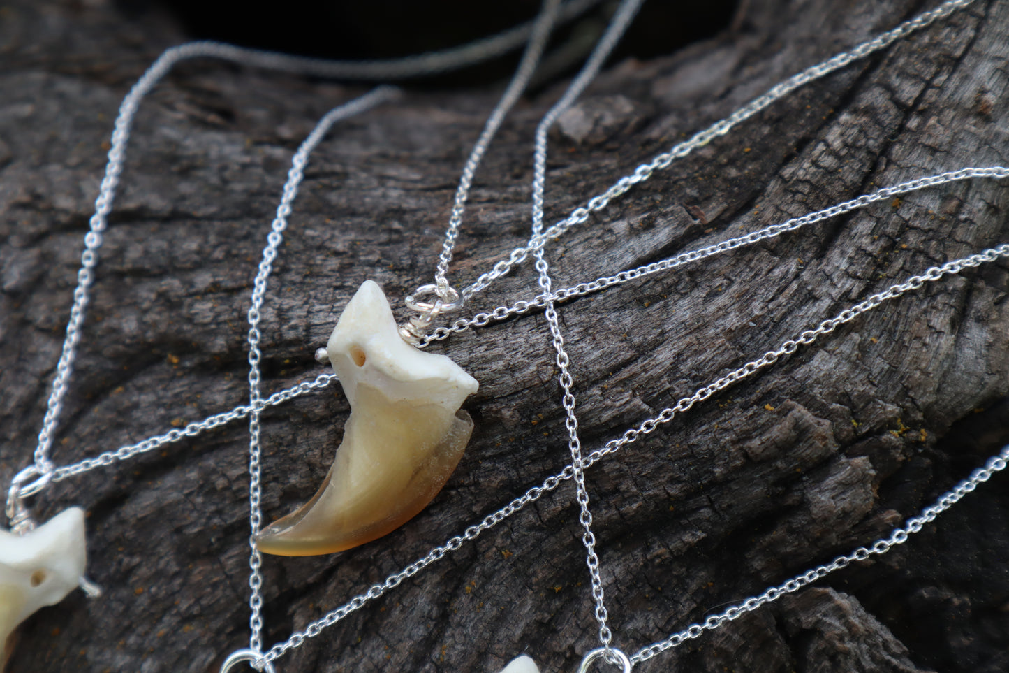 Gray Wolf Claw Necklace