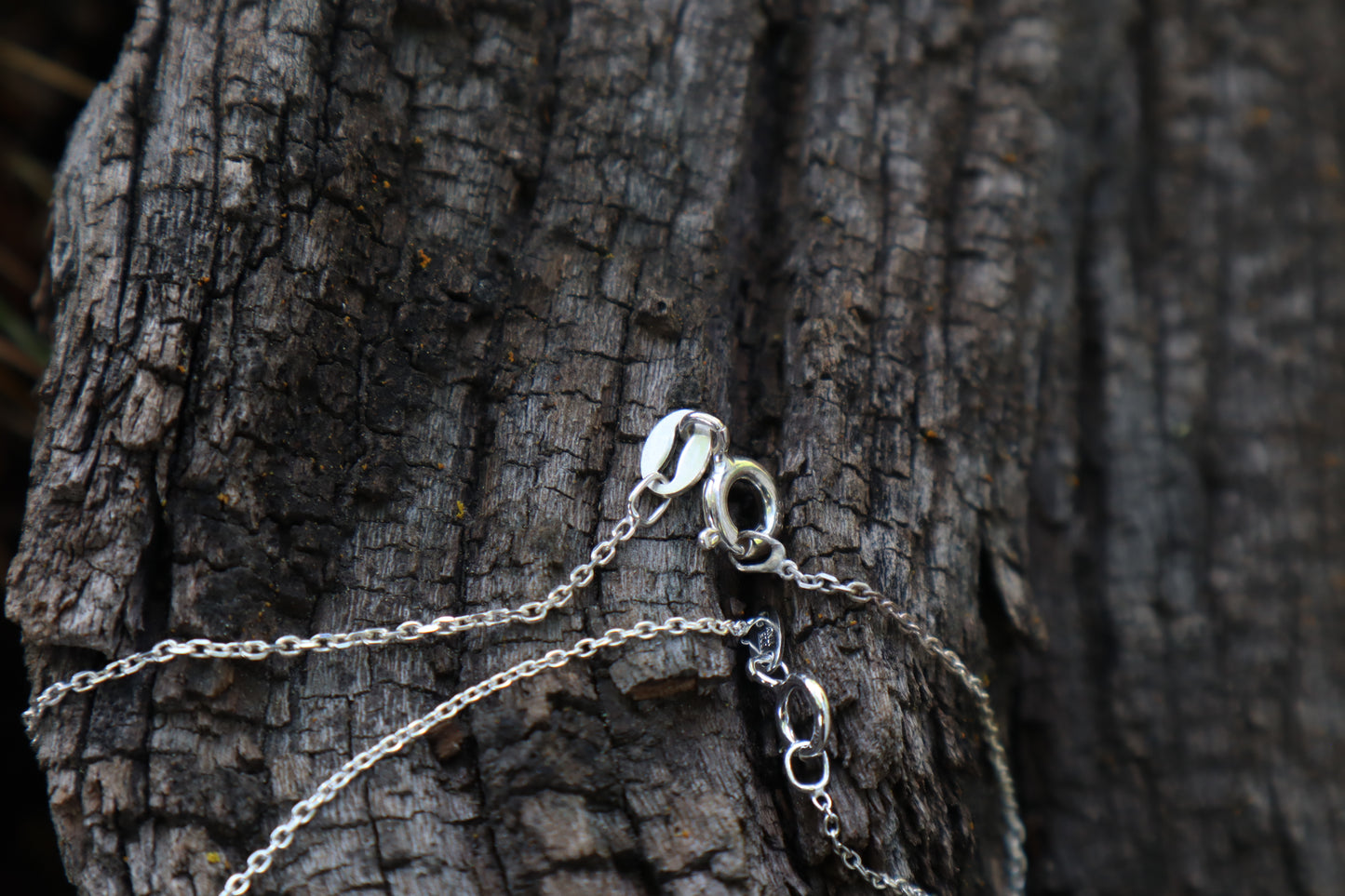 Gray Wolf Claw Necklace