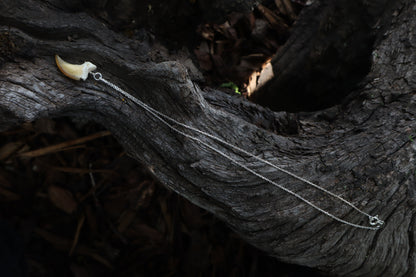 Gray Wolf Claw Necklace