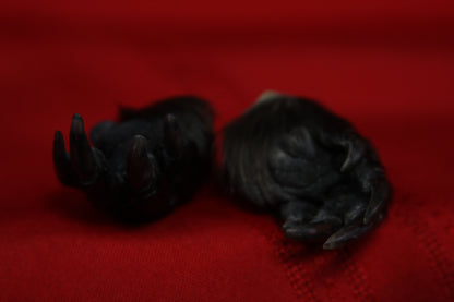 Beaver Feet
