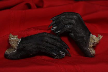 Beaver Feet
