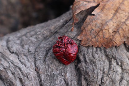 Dry Preserved Piglet Heart