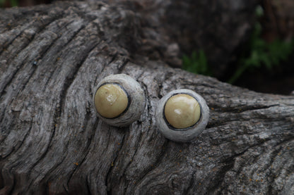 Dry Preserved Coyote Eyeballs