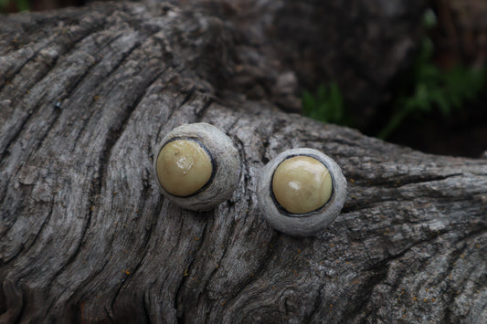 Dry Preserved Coyote Eyeballs