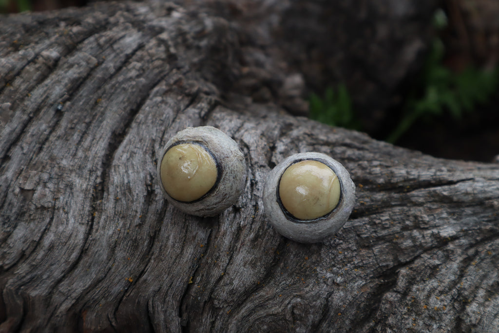 Dry Preserved Coyote Eyeballs
