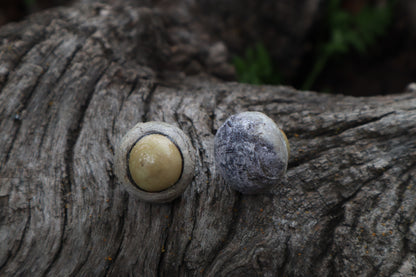 Dry Preserved Coyote Eyeballs