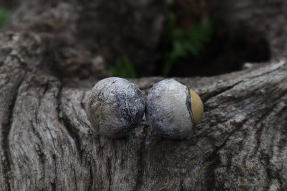 Dry Preserved Coyote Eyeballs
