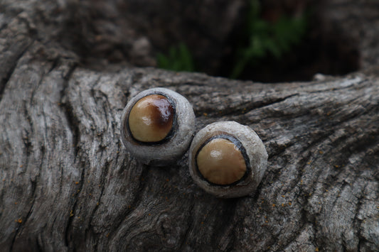 Dry Preserved Coyote Eyeballs